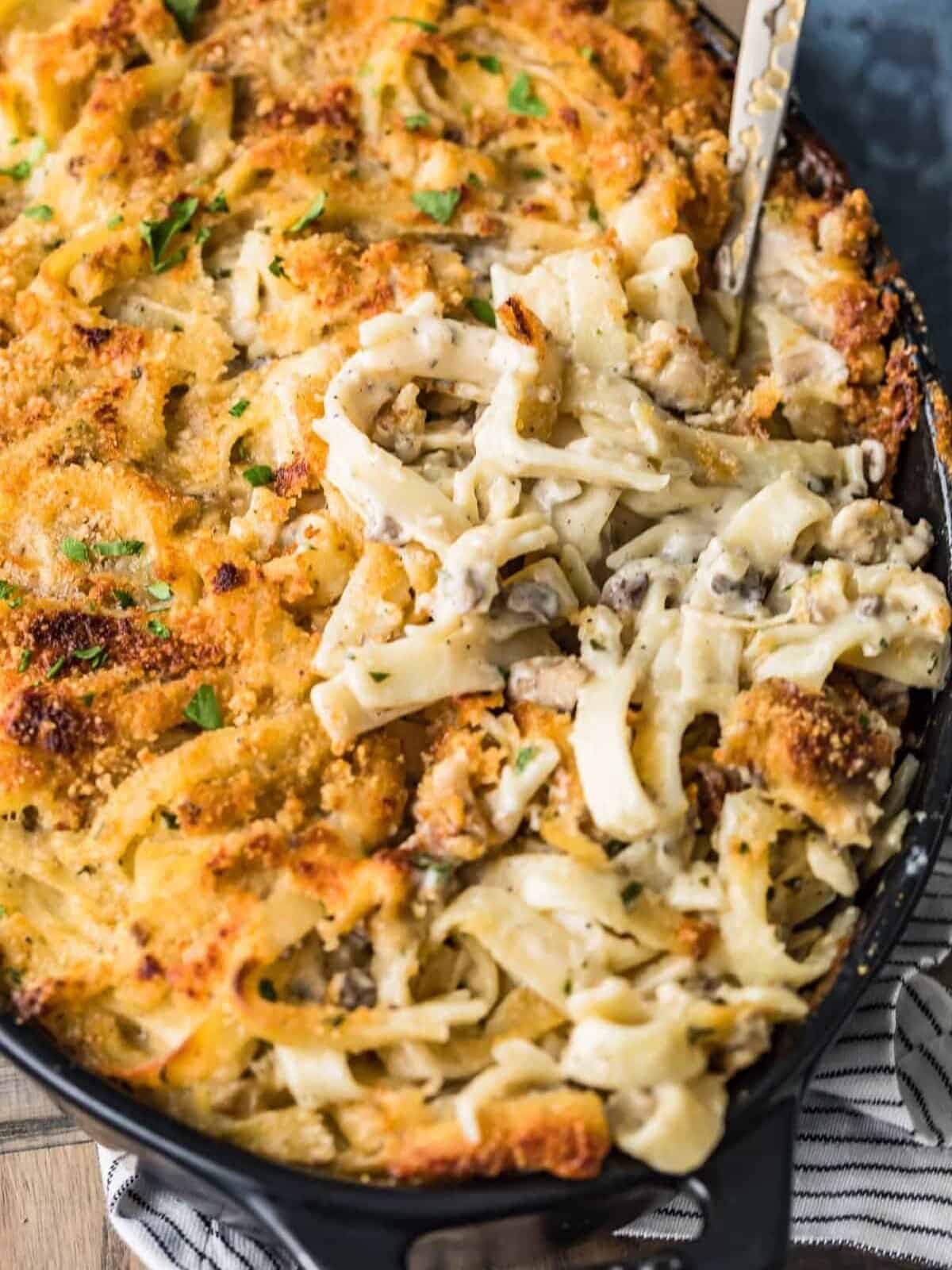 close up on chicken tetrazzini in a casserole dish