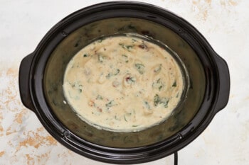 Alfredo ingredients in a crockpot.