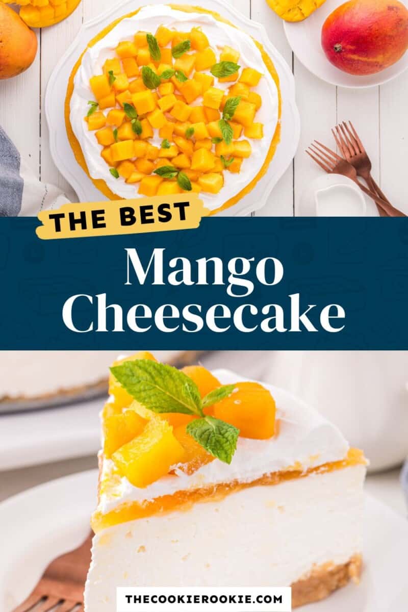 the best mango cheesecake.