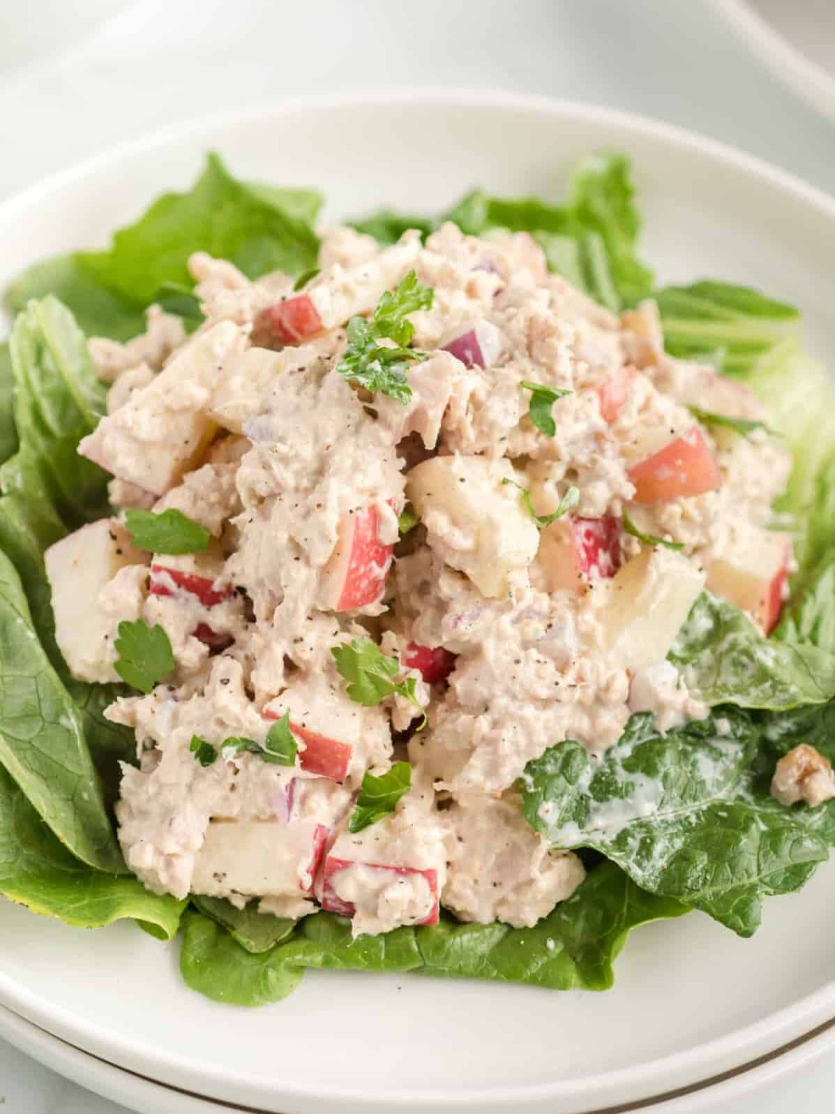 tuna salad on a bed of lettuce on a white plate.