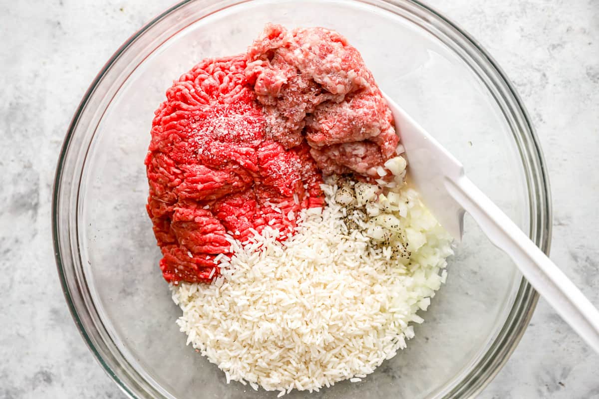 A bowl of ground beef and rice with a spoon.