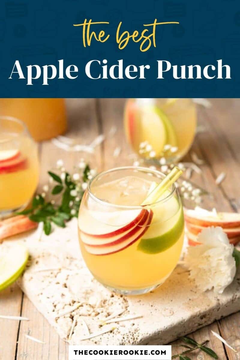 The best apple cider punch.