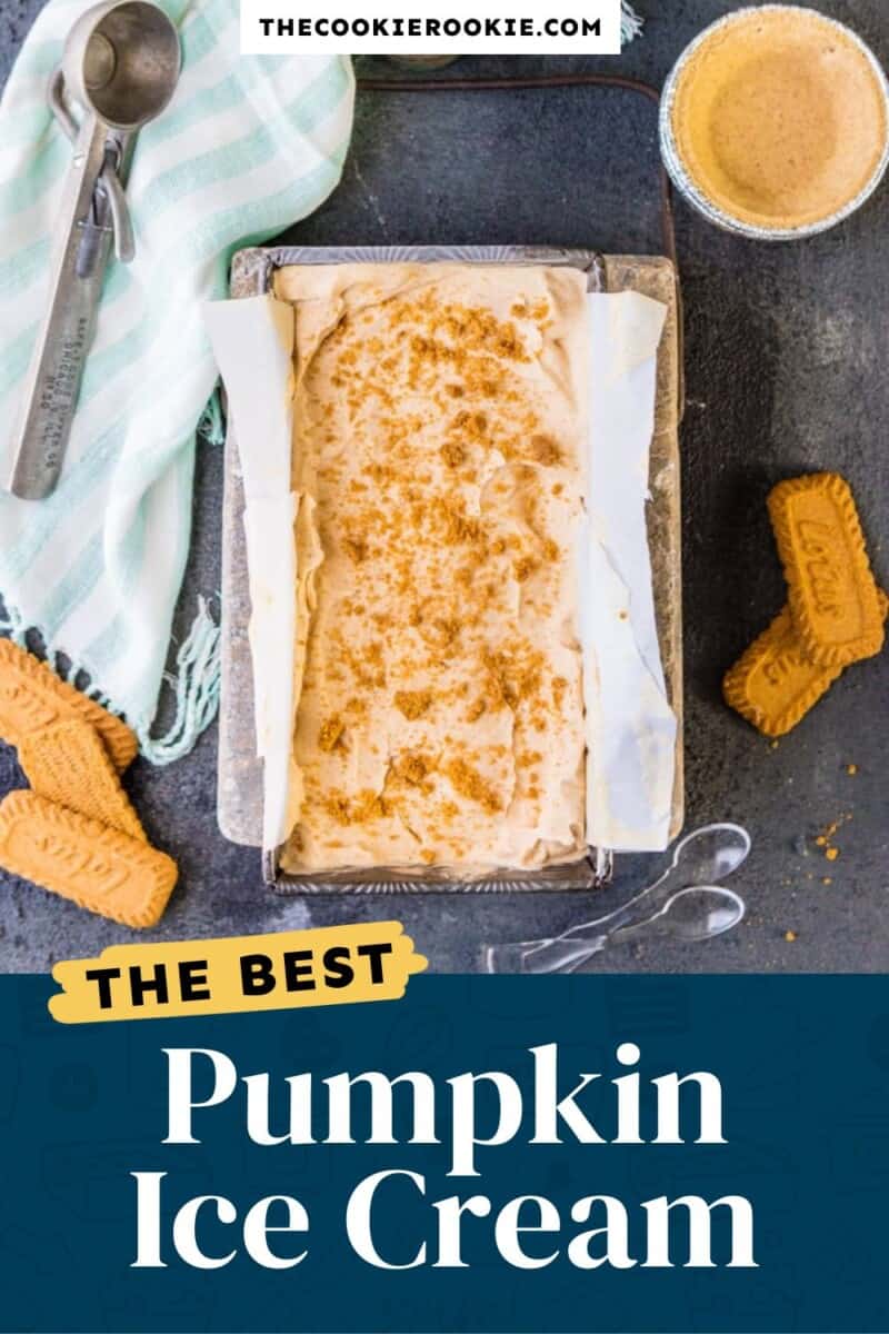 The best pumpkin ice cream.