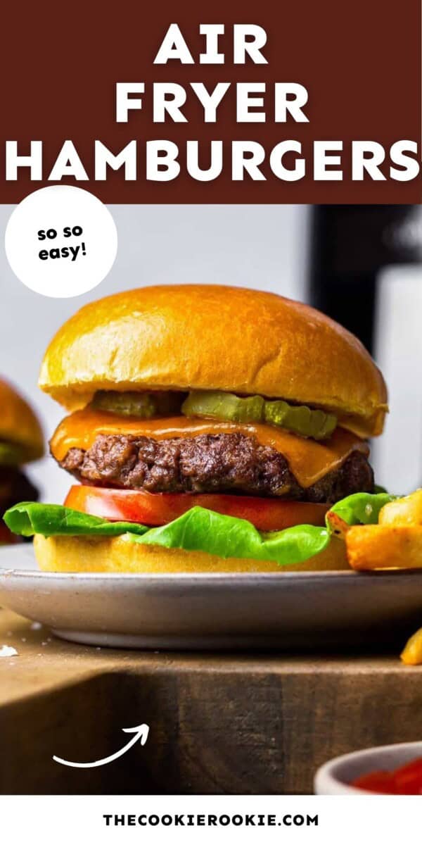 air fryer hamburgers pin