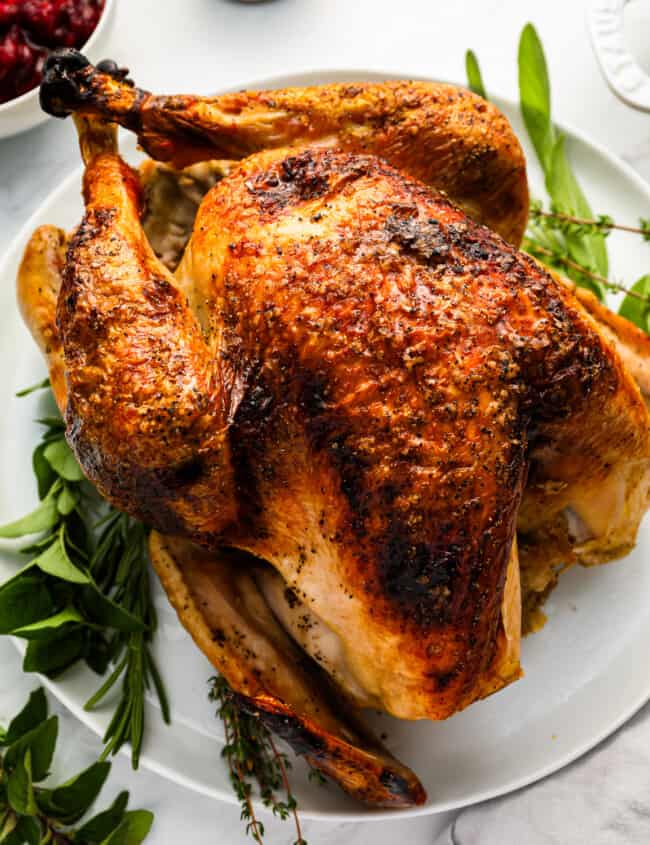 Roasted turkey on a white plate with sprigs of thyme.