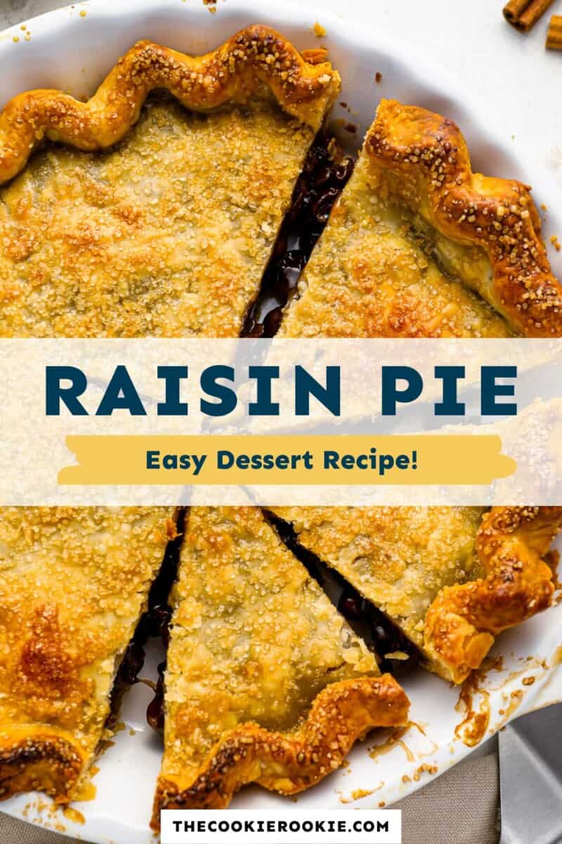 Raisin pie easy dessert recipe.