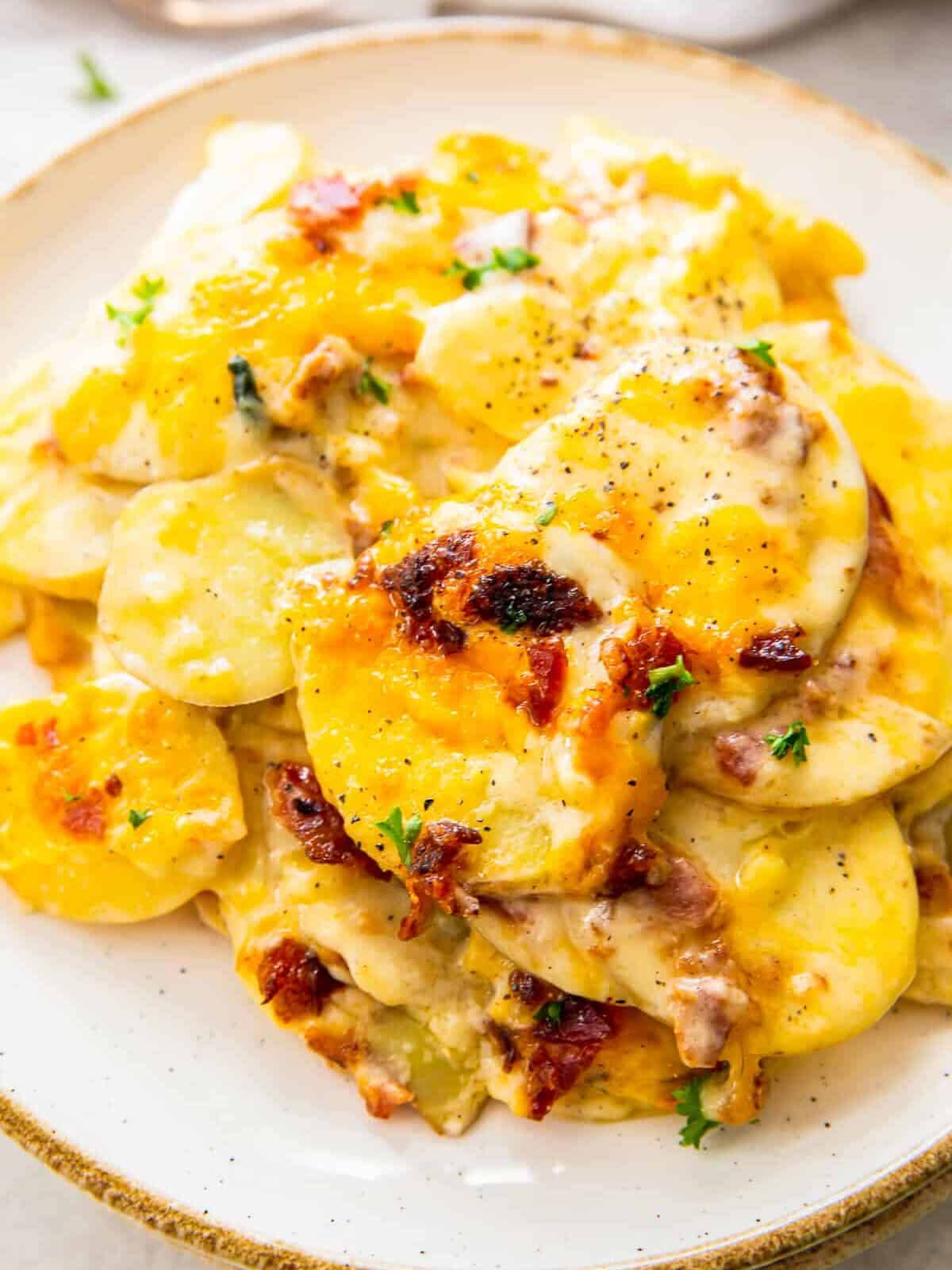 plate of loaded scalloped potatoes