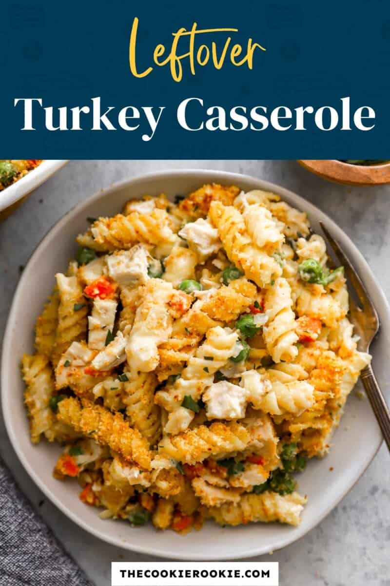 A bowl of leftover turkey casserole on a white plate.