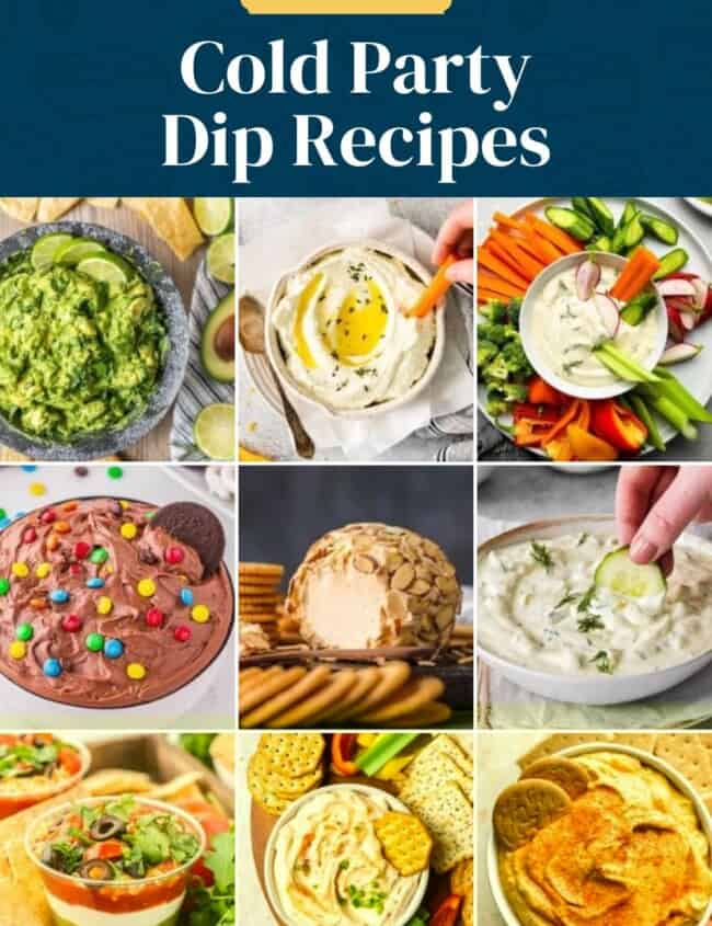 Best cold party dip recipes.