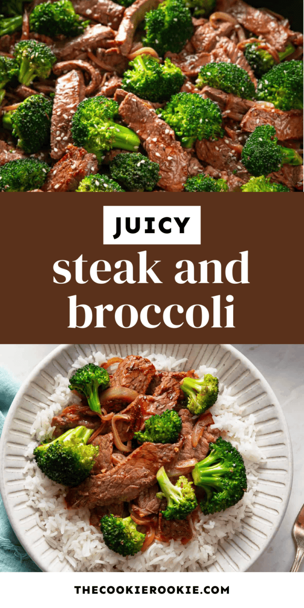 steak and broccoli pin