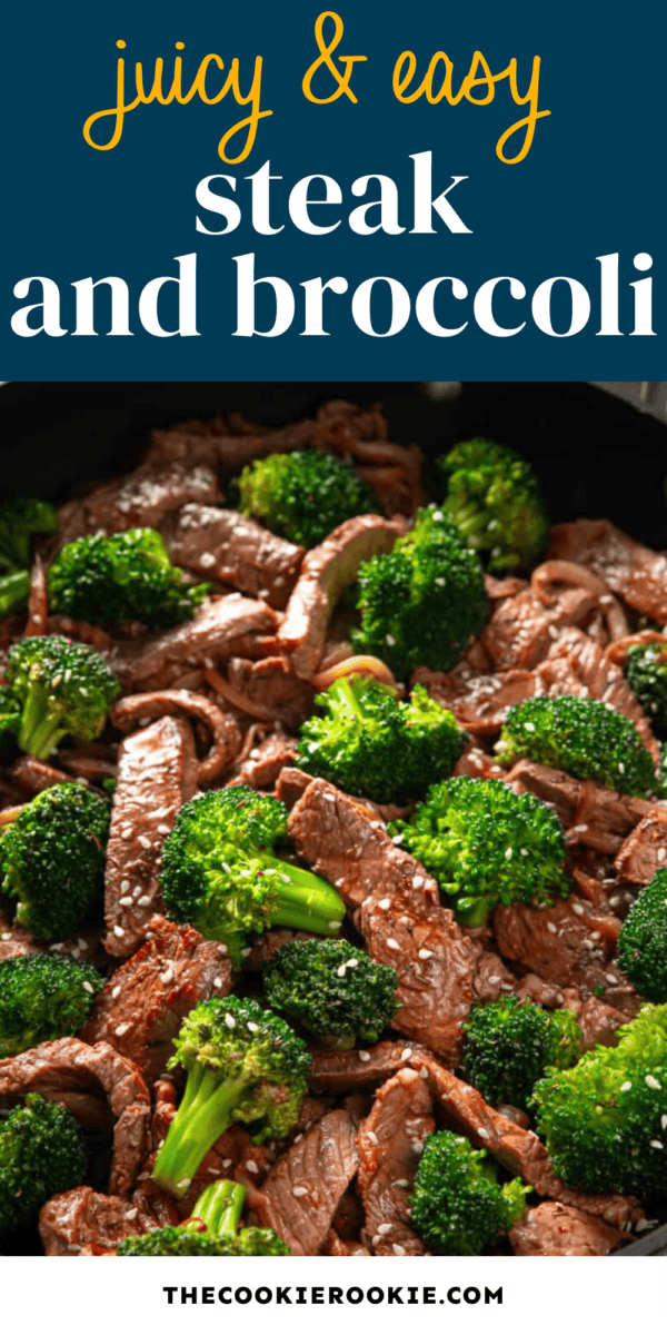 steak and broccoli pin