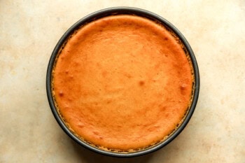 baked pumpkin cheesecake in a springform pan.